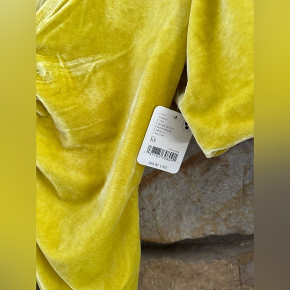 NWT Free People Cupcake Velvet Top - Picture 6 of 7